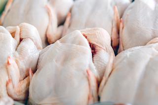Jak uniknąć zatrucia mięsem kurczaków?