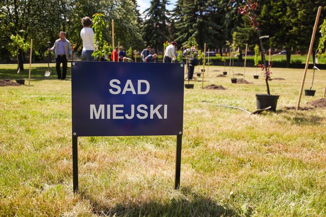 W Kętrzynie powstał Sad Miejski