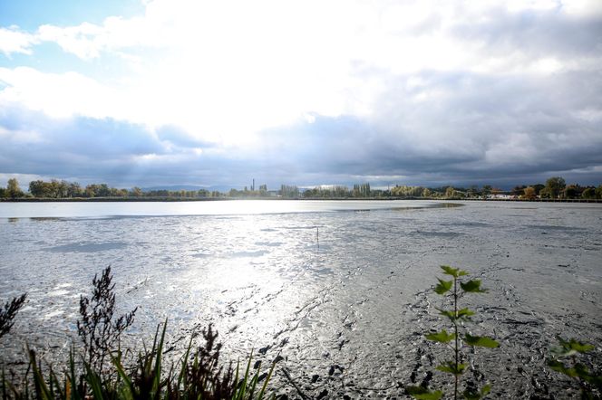 Policjanci kontynuują poszukiwania zaginionej Karoliny Wróbel