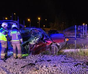 Kierujący samochodem Audi stracił panowanie nad pojazdem i zjechał z drogi na pobocze 