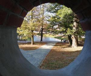 Jesienią warto odwiedzić siedlecki park Aleksandria