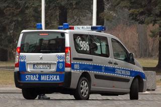 Skandaliczne zachowanie Straży Miejskiej w Luboniu! Leż, bo Cię w skrzynię zapakuję [WIDEO]