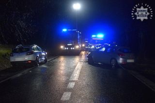 Tragedia na DW 790 w powiecie zawierciańskim. 51-latki nie udało się uratować