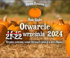 Co się dzieje w weekend 20-22.09 w Śląskiem?