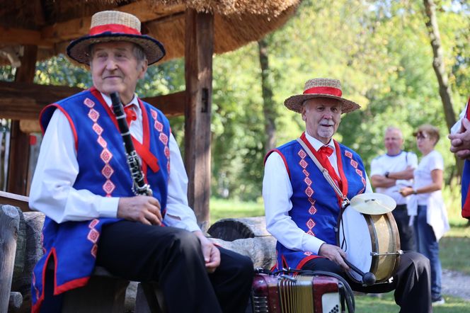 W skansenie w Lublinie pokazali, jak dawniej wyglądały wykopki kartoflane