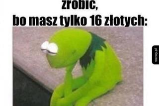 Wakacje trwają w najlepsze. Te memy rozbawią cię do łez!