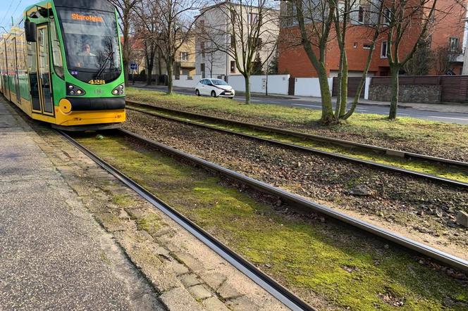 Policja szuka świadków ataków nożownika w tramwajach 