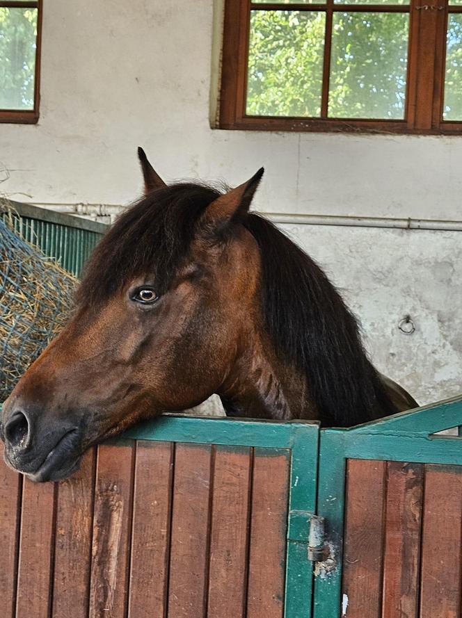 Światowy Dzień Fotografii. Z tych fotek są dumni nasi Czytelnicy! ZOBACZ