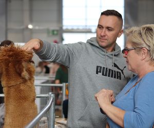 Tak wyglądał Zoopark 2024 w Lublinie! Zobacz zdjęcia