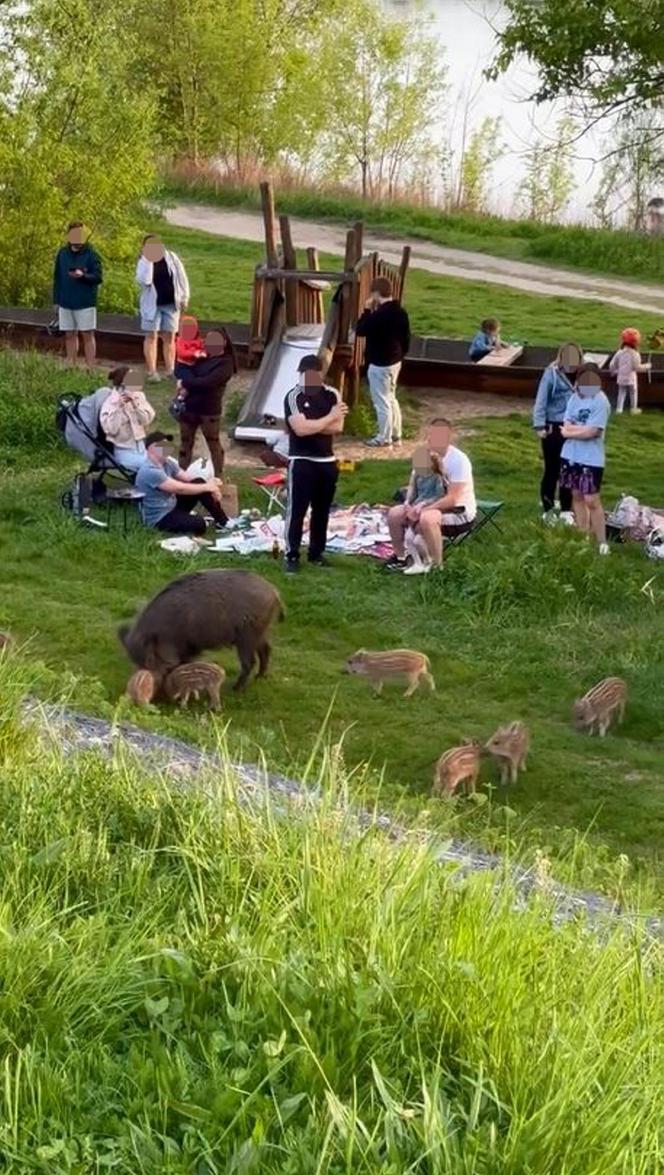 Zobaczcie tylko, co oni robią! Nagranie znad Wisły niesie się po sieci. Chwile grozy podczas rodzinnego pikniku