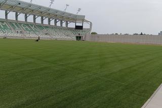 stadion murawa 2