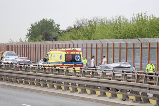 Warszawa sparaliżowana! Karambol po potrąceniu dzika. Kosmiczny korek aż do Marsa