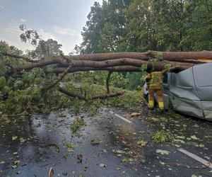 Gwałtowna burza nad Dolnym Śląskiem. Gradobicie, ulewa i mnóstwo zniszczeń