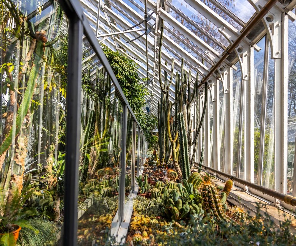 Targi Warsaw Garden Expo startują 10 lutego