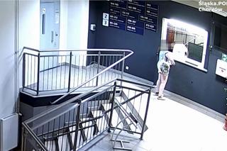 Wyładowała agresję w poczekalni Chorzowskiej Komendy