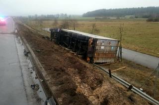 Koszmarny wypadek na S7. Kierowca lawety zginął, gdy ładował na nią zepsute auto [ZDJĘCIA]