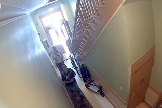 Polka oskarża PETA o kradzież psa