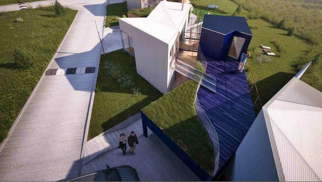 Daleszewo, osiedle domów zaprojektowane przez pracownię architektoniczną C+HOaR. Zieleń na dachach