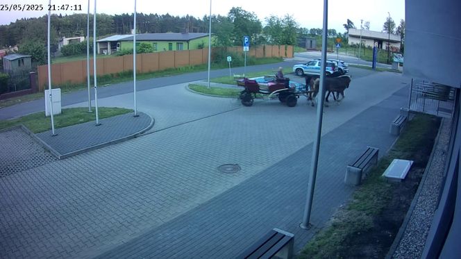 Poddębice. Wóz konny na parkingu komendy. Kierowca nietrzeźwy i z dożywotnim zakazem [ZDJĘCIA]. 