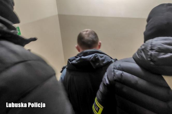 Kradli auta na POTĘGĘ! Ich wartość to 2 miliony złotych. Policja rozbiła GANG