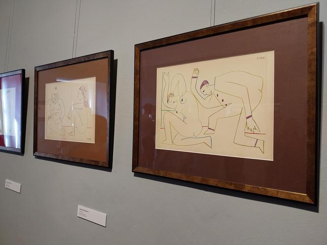 Wernisaż wystawy "Picasso: Odsłony dźwięku i ludzkiej duszy" w Muzeum Zamojskim