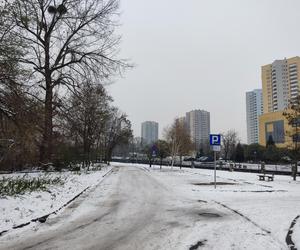 Parkowanie w Katowicach: Studenci UE nie zawalają już parkingów