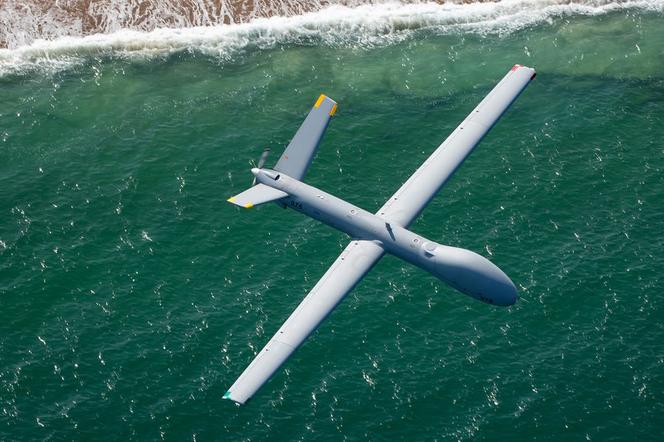 Hermes 900, BSP, dron