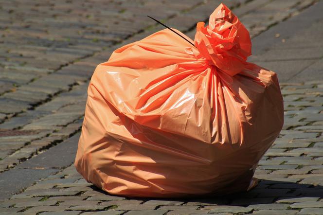 Segregacja śmieci w Lublinie. Ceny za wywóz odpadów, zasady segregacji, elektrośmieci