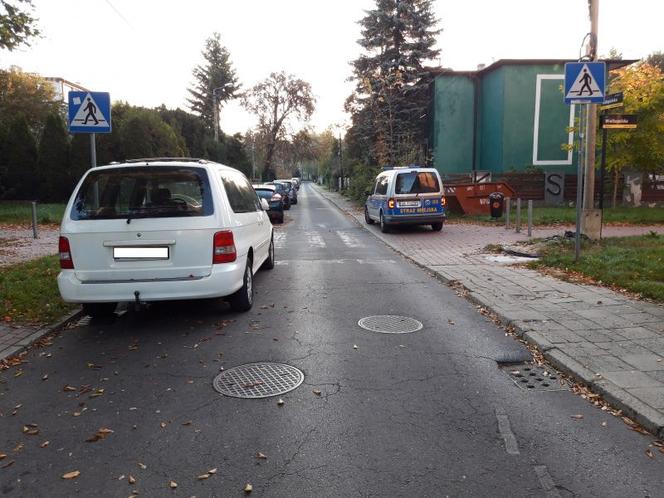 Mistrzowie parkowania w Katowicach ukarani przez Straż Miejską