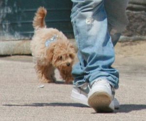 Jacek Kopczyński. Tak wypoczywa po awanturze w Sejmie 