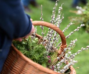 Na przeziębienie, kaszel i dla prawidłowego krążenia. Bazie wykorzystasz nie tylko do ozdoby 