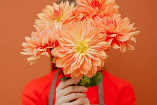 Kartki na imieniny Aleksandry. Pobierz darmowe grafiki imieninowe z życzeniami dla Oli [20.03.2025]