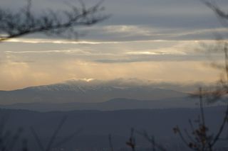 To jedyna taka willa w Krakowie. Znajduje się w lesie, widać z niej nawet Tatry