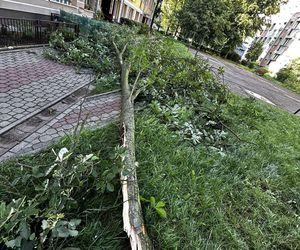Burze w Świętokrzyskiem - 23-24 czerwca 2025