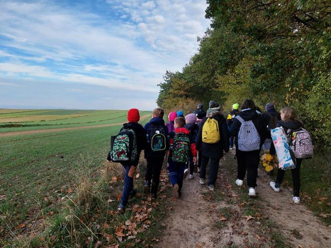 55. Rajd Pieczony Ziemniak na Działach Grabowieckich