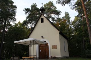 Diecezjalna pielgrzymka rodzin na Górę Chełmską