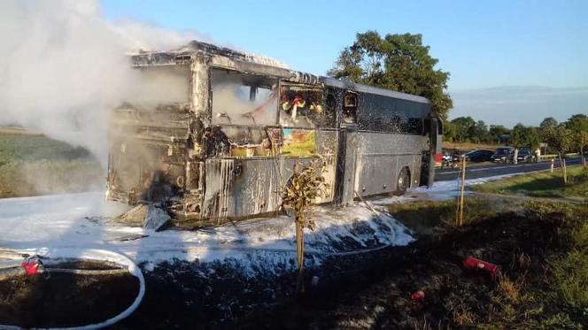 Pożar autobusu niedaleko Koronowa! Ewakuowano aż 35 osób! [ZDJĘCIA]