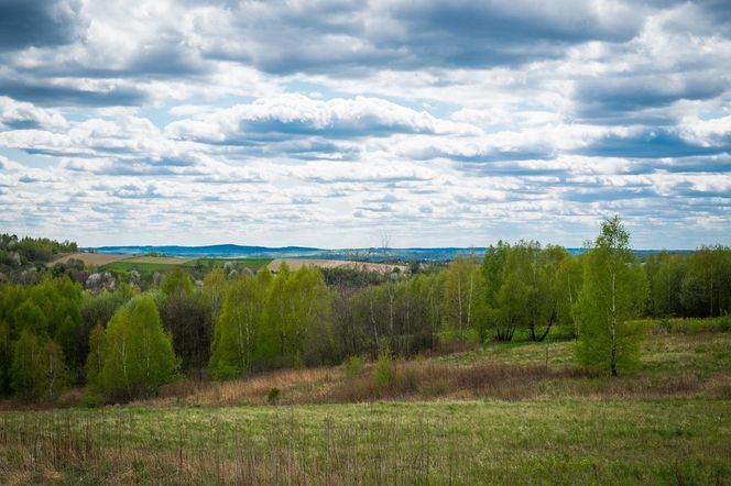 Te miasta i gminy wyludniają się najbardziej na Podkarpaciu