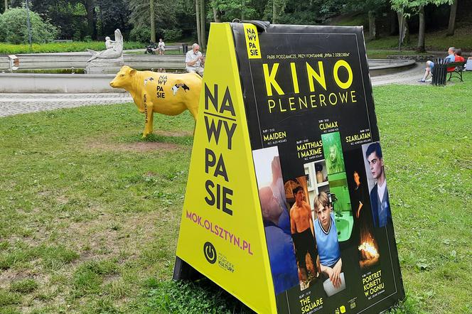 Kino plenerowe w olsztyńskim parku Podzamcze
