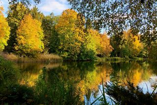 Który park w Warszawie jest najładniejszy? Trwa wielkie głosowanie