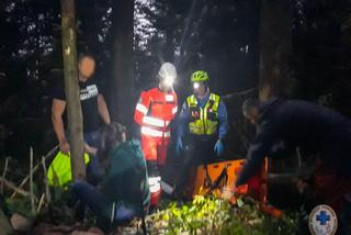 Drzewo uderzyło w 23-letnią turystkę w Bieszczadach. GOPR-owcy ruszyli na ratunek [ZDJĘCIA]