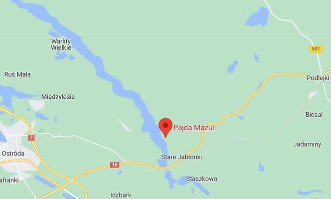  Pajda Mazur