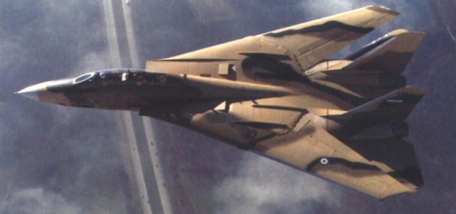 F-14 Tomcat