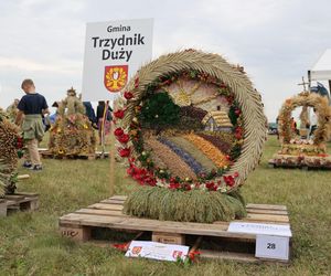 Dożynki wojewódzkie 2025 w Świdniku