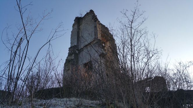 Ruiny zamku w Mokrsku Górnym