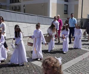 Procesja Bożego Ciała w Katowicach