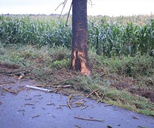 Wielkopolskie. Mercedes uderzył w drzewo! 26-letni pasażer nie żyje! 