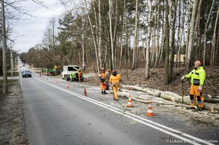 Szydłowiecka otwarta w lipcu? MZDiK czeka na dokumenty