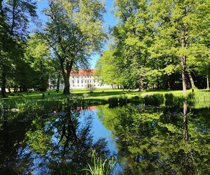 Widok na Zamek Suski z parku