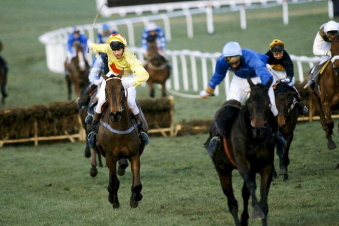 Cheltenham Gold Cup